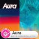 糖蒜爱音乐之The Selector:Aura