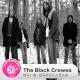 糖蒜爱失真：The Black Crowes