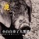 为了吃口放心肉,我养了一群大黑猪·花样更年华Vol:024