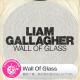 糖蒜爱音乐之The Selector:Wall Of Glass