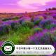 千万不要小看一个又忙又美的女人 by糖蒜小声说.VOL.106