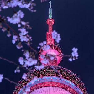 E134:被扔臭鸡蛋、七旬老人当街下跪_一位上海记者的自白