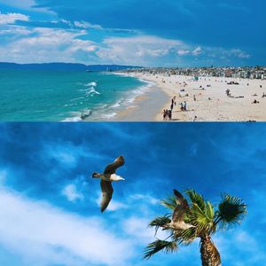 E203:【侃生活】年轻人为何热衷当“旅游特种兵”?聊聊那些奇葩的出行经历!