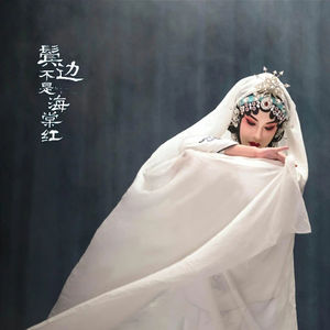《鬓边不是海棠红》剧评（下）|入围最佳中国电视剧