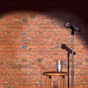 这是一期聊“脱口秀”的脱口秀（下）