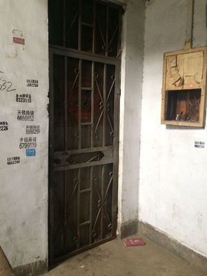 兔子洞的昨天今天和明天（一）