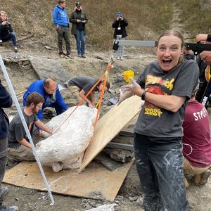 How did bird dinosaurs survive the meteor?