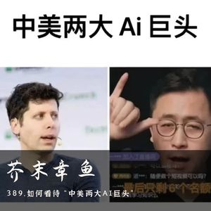 389.如何看待“中美两大AI巨头”