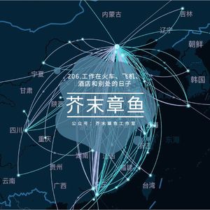 206.工作在火车、飞机、酒店和别处的日子