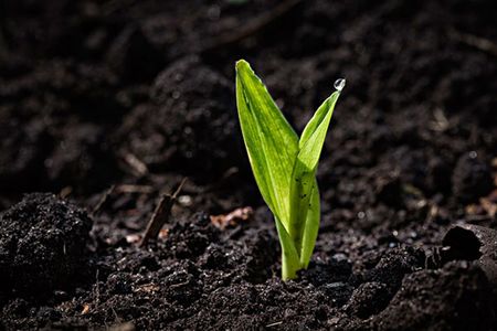 11.男人和生孩子