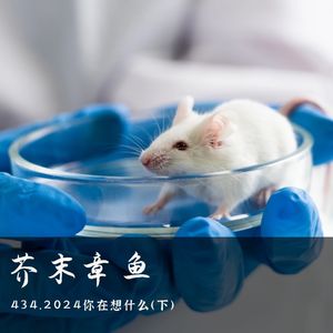 434.2024你在想什么（下）