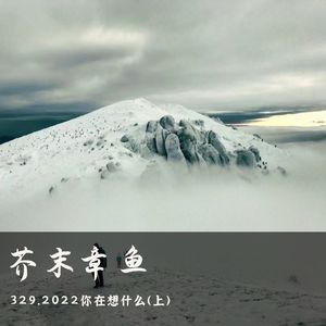 329.2022你在想什么（上）