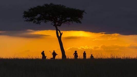 137. 去非洲草原盘狮子