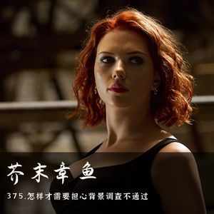 375.怎样才需要担心背景调查不通过