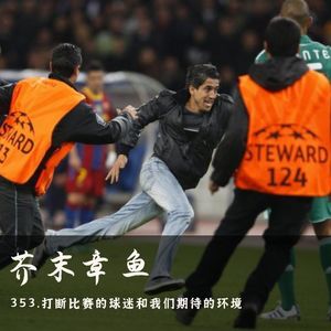 353.打断比赛的球迷和我们期待的环境