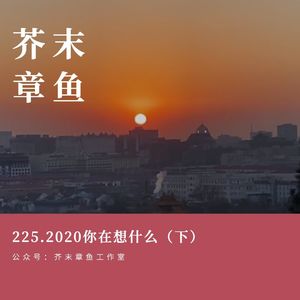 225.2020你在想什么（下）