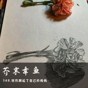 348.突然聊起了自己的妈妈