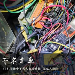 428.补录中年男人拾起爱好：搭私人影院