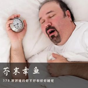 378.聊聊睡得好不好和好好睡觉