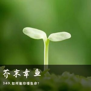 349.如何能珍惜生命？