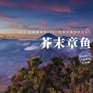 202.从做题家到996，内卷化真的存在么？