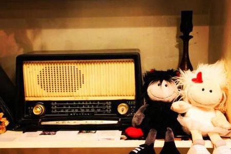 3.通过电离层反射的信息