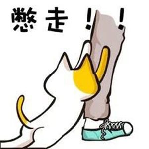 16.2016结束了,2017你们爱听不听