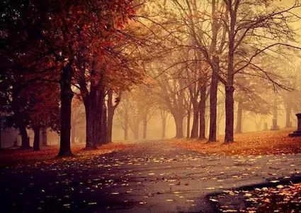 157.【懈怠歌单】秋天爱听的歌