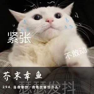 294. 当我害怕，我是在害怕什么？