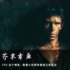 306.当个看客，像看小说那样看自己和生活