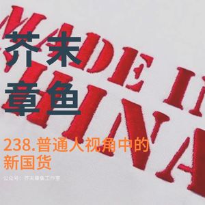 238.普通人视角中的新国货
