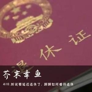 410.听说要延迟退休了，聊聊如何看待退休