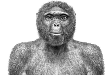 8.人类简史的一部分简史