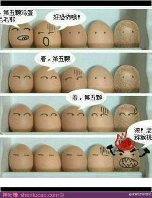 53.聊聊毕业生里的“猕猴桃”