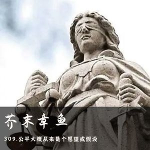 309.公平大概从来是个愿望或假设