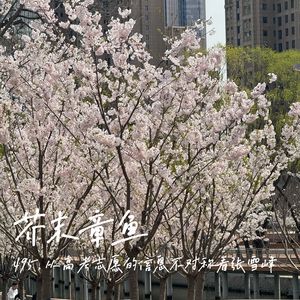 495. 从高考志愿的信息不对称看张雪峰