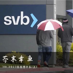 381.2023你在想什么(上)