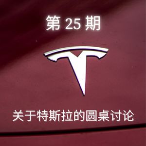 第 25 期:关于特斯拉的圆桌讨论
