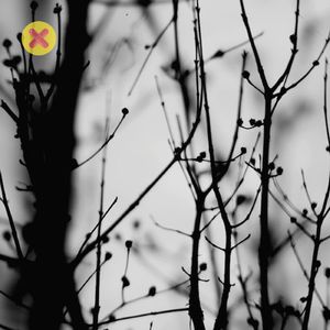 美而无用的部分才是我们