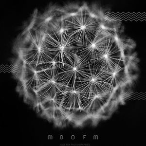 不负青春，野蛮生长