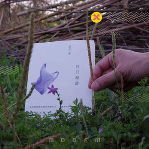 白日漫游：北京我再也待不下去了