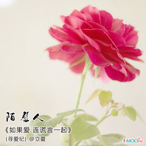 如果爱 连谎言一起