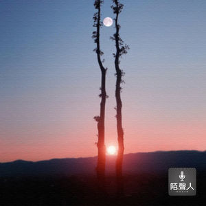 王子和王子的爱情