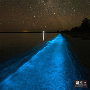 行走世间 全是妖怪