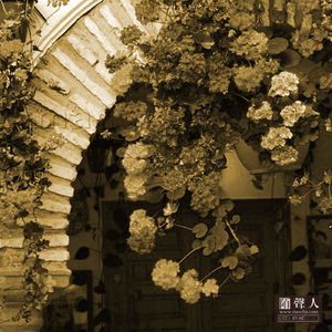 花一开满就相爱