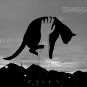 其实也可以先结婚再恋爱