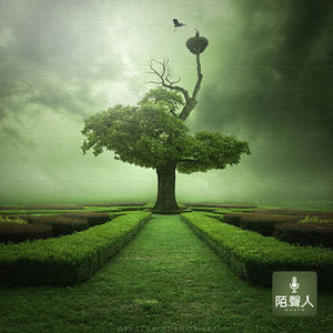 生命不能承受之痛