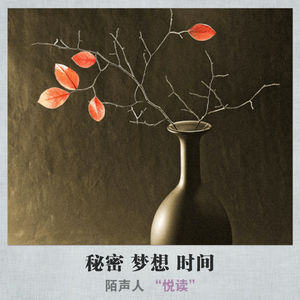 秘密 梦想 时间