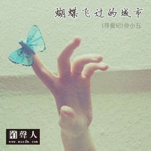 蝴蝶飞过的城市