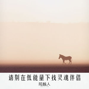 请别在低能量下找灵魂伴侣